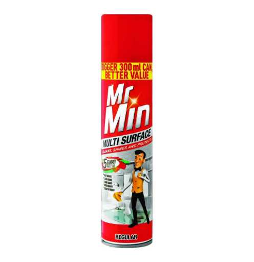 Picture of Mr Min Multi-Surface Polish Regular (300ML)